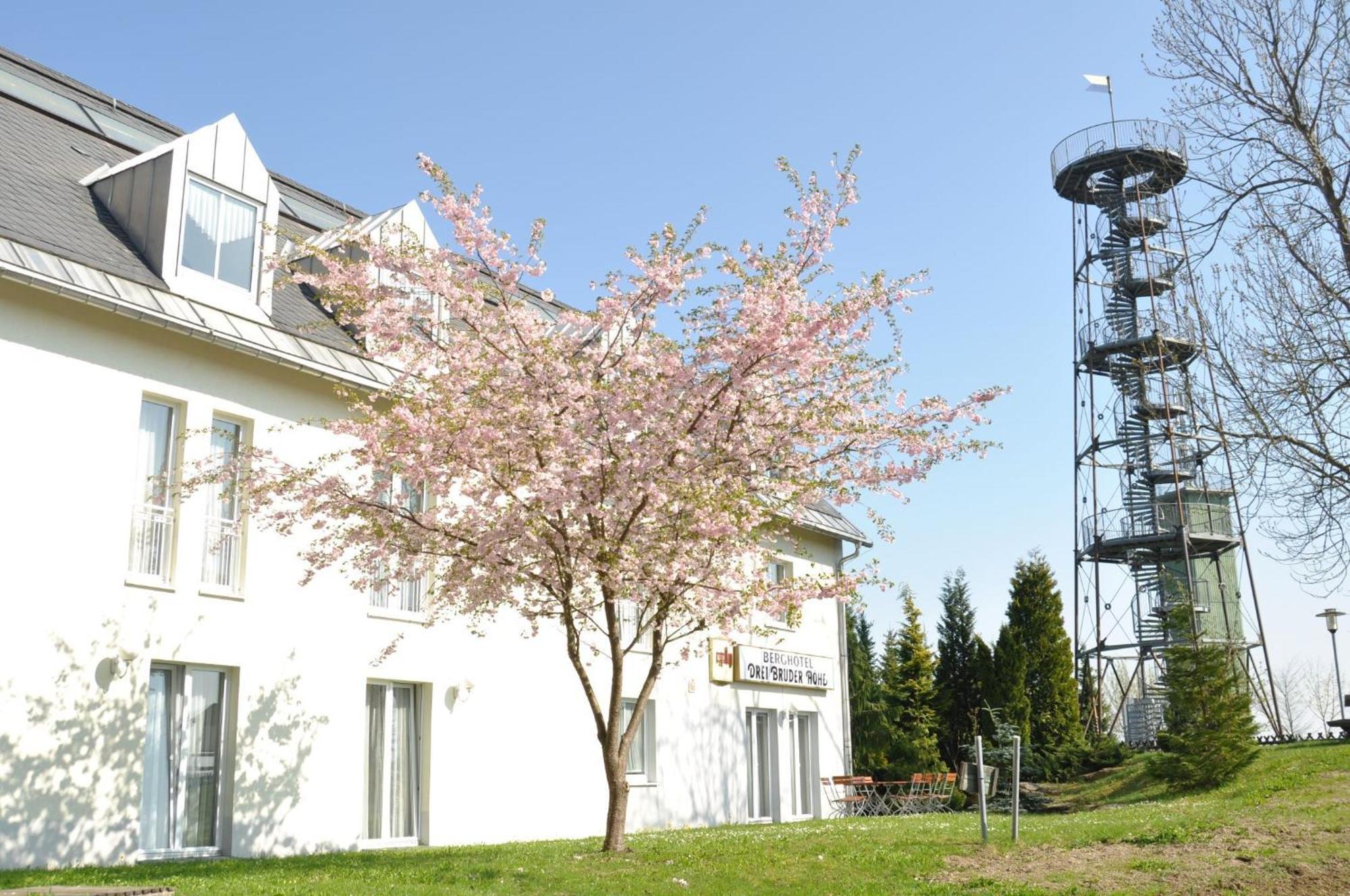 Berghotel Drei Brueder Hoehe Marienberg Extérieur photo